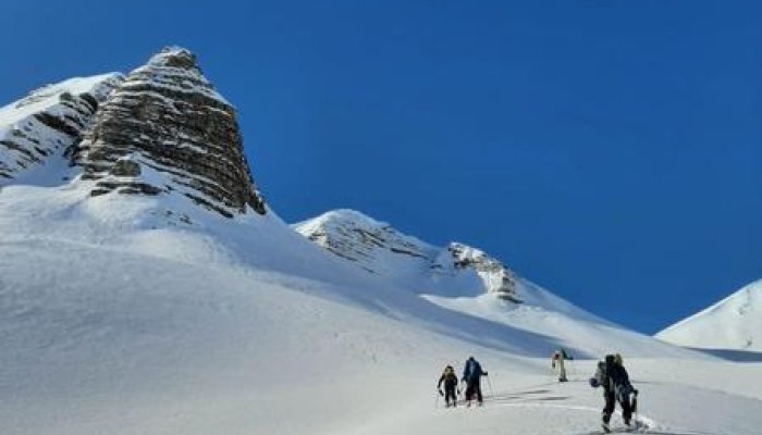 Clément Infante - Ski Freerando/Freeride