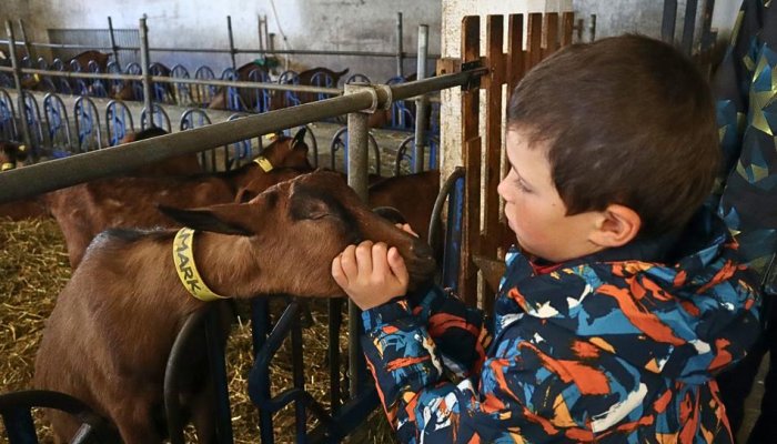 MarcoRandos - Randonnées gourmandes_Orcières