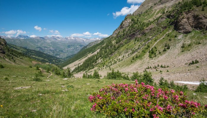 Le vallon de Rouannette