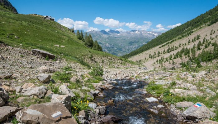 Le torrent d'Archinard Le torrent d'Archinard