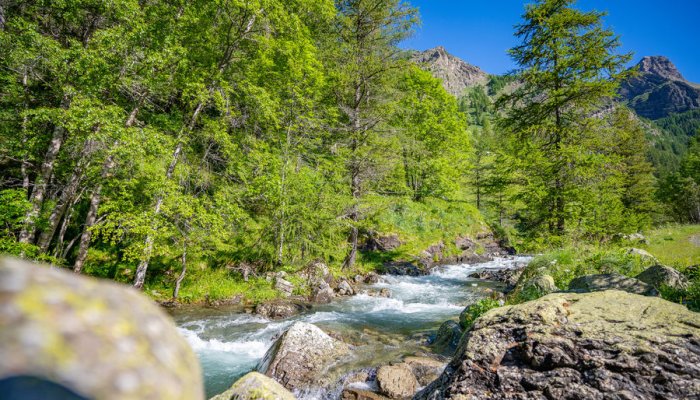 Torrent de Blaisil