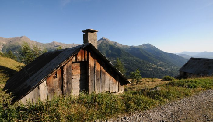 Parcours Trail "Forest des Marches"