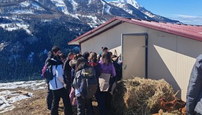 La Ferme Tout là Ô_Orcières
