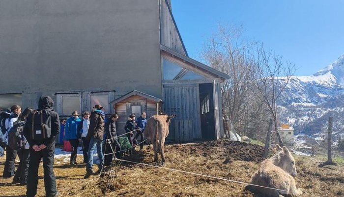 La Ferme Tout là Ô_Orcières