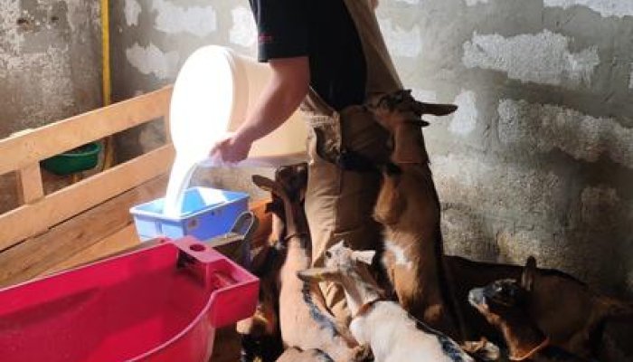 La Ferme Tout là Ô_Orcières